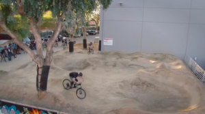 Specialized chouchoute ses employés