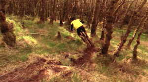 Joe Barnes, business as usual