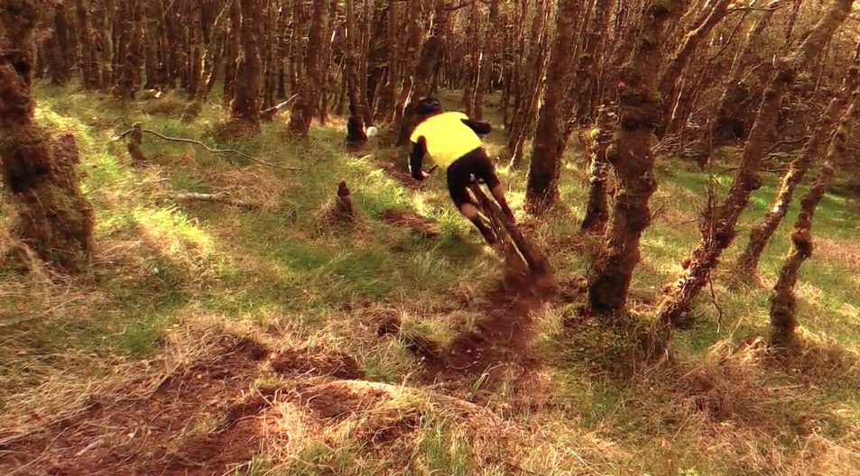 Joe Barnes, business as usual