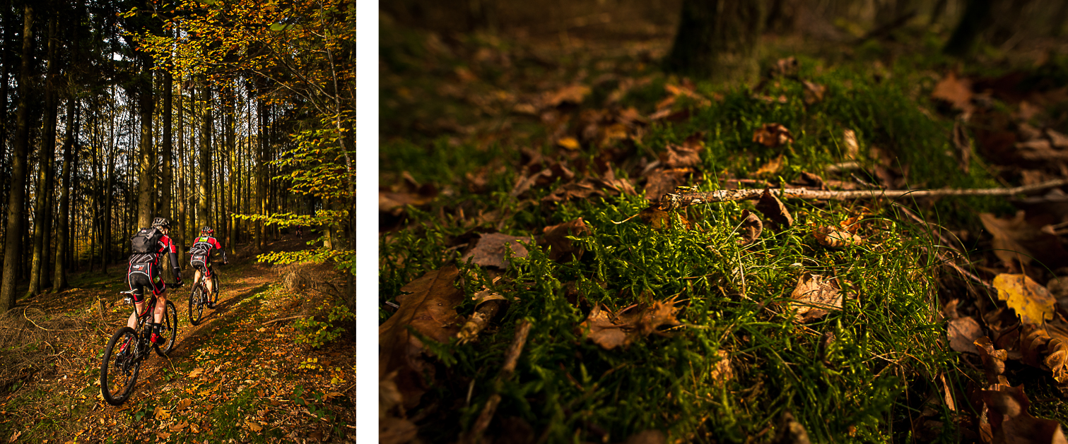 Sure_Luxembourg_Compo_2b