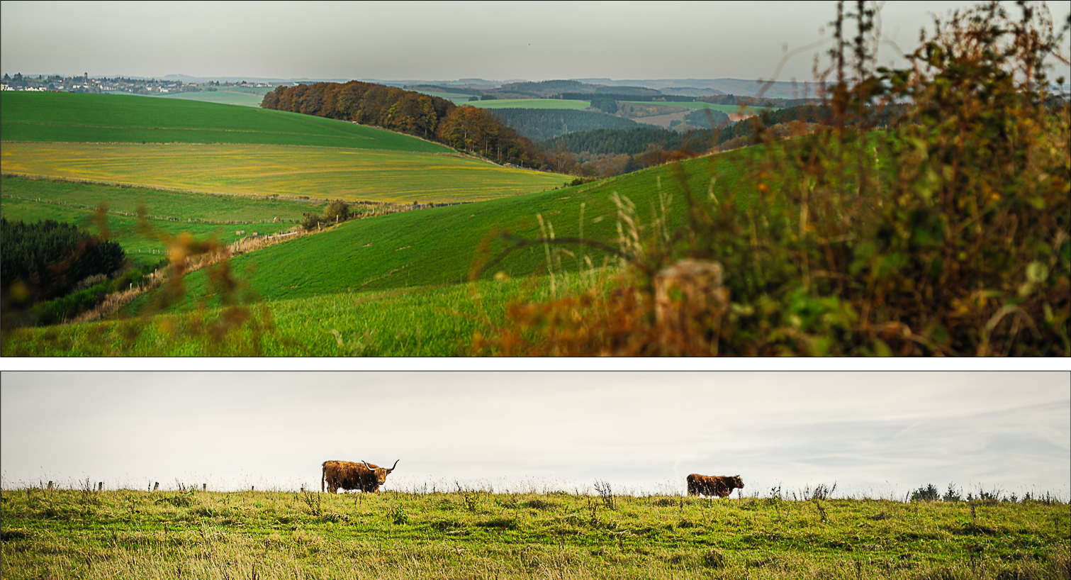 Sure_Luxembourg_Compo_3