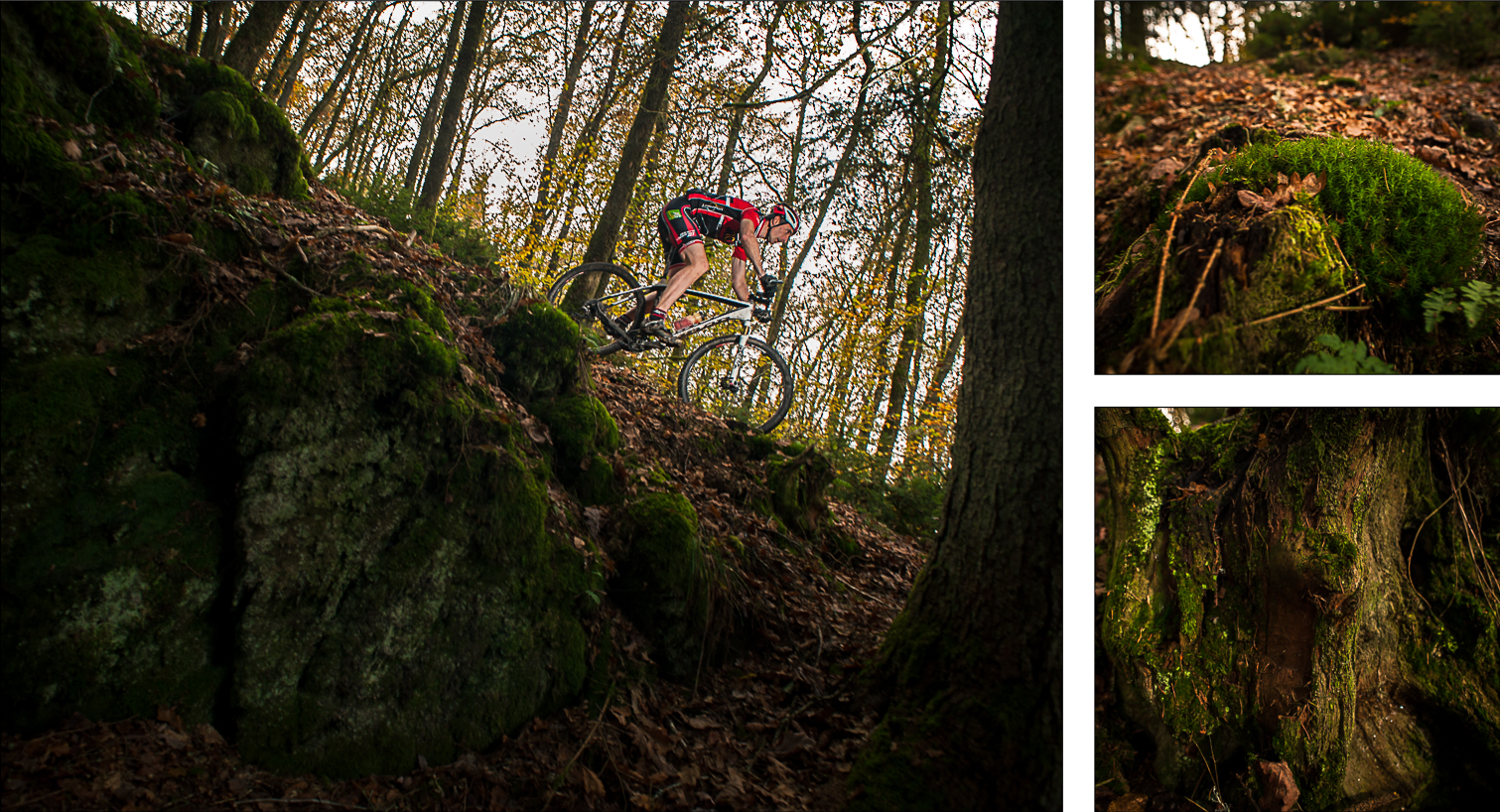 Sure_Luxembourg_Compo_4