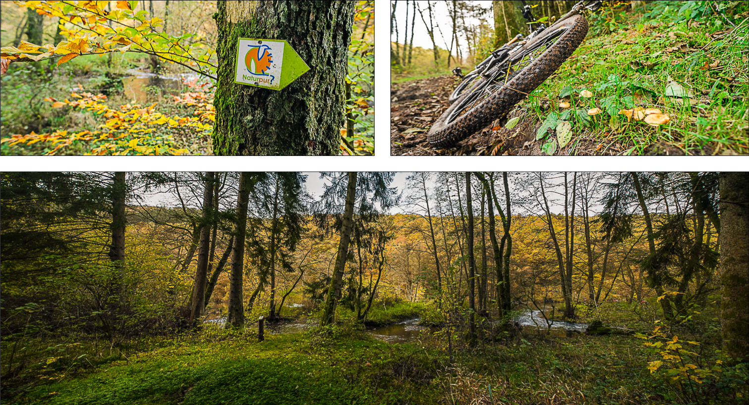 Sure_Luxembourg_Compo_5