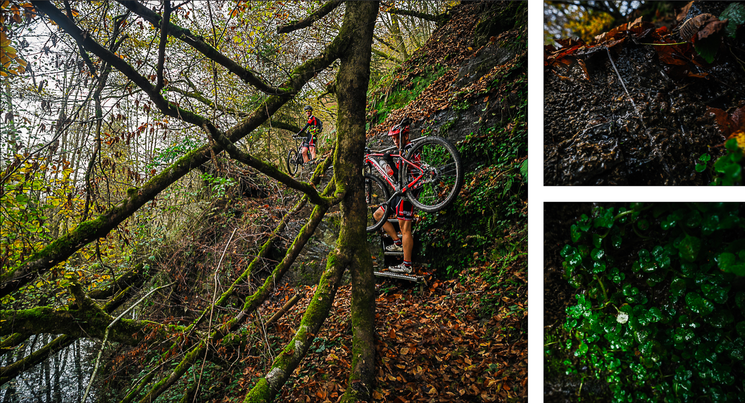 Sure_Luxembourg_Compo_6