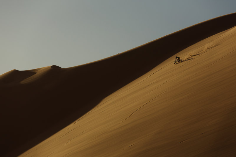 Wild ride in the wilds of Africa