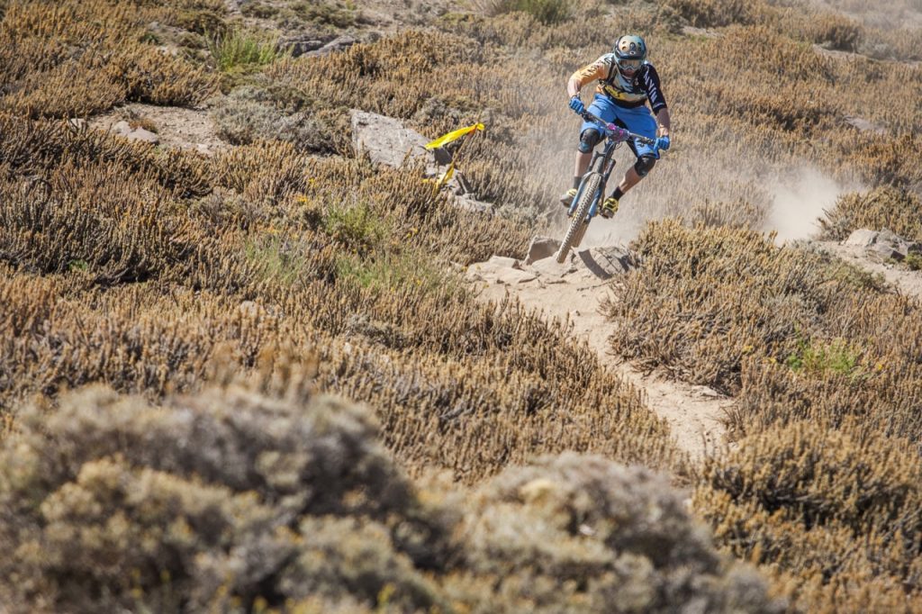 Andes-Pacifico : grosse baston Lau – Barel