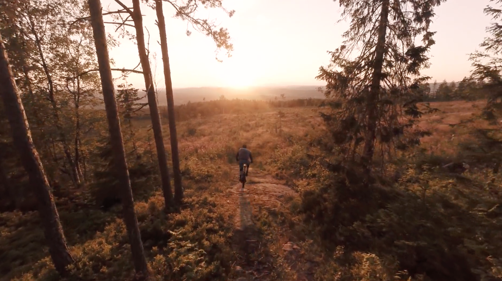 A Day Out – Jon Bokrantz