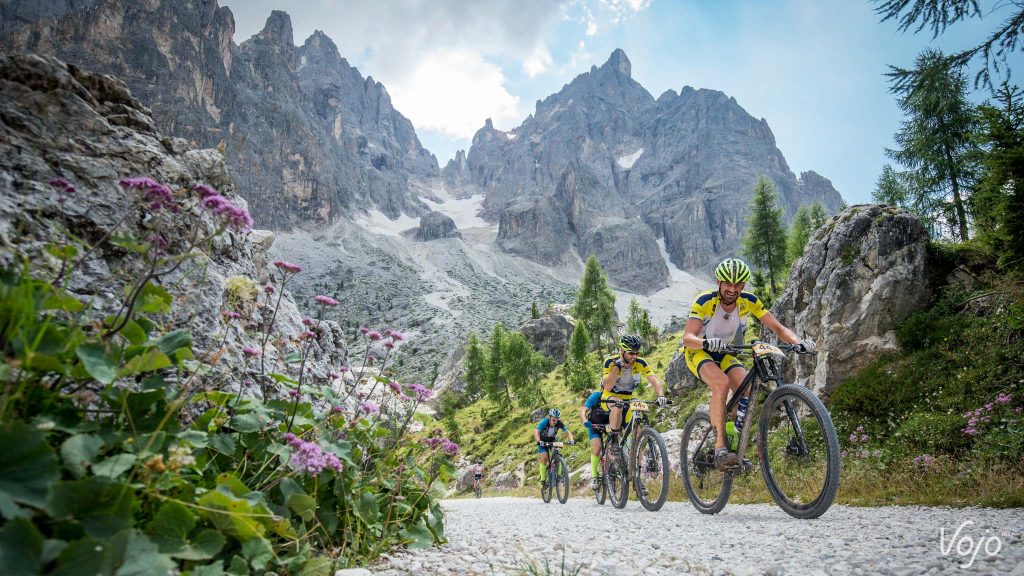 De Transalp wordt 20 in 2017!