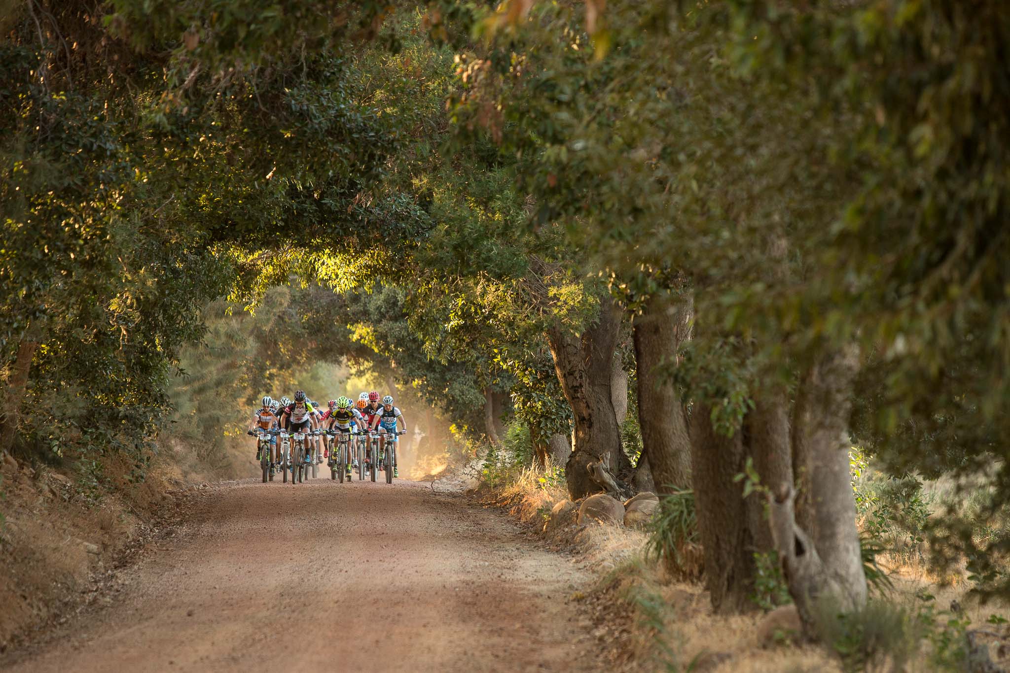 Le départ des Dames lors de l’étape 1 – Photo by Sam Clark/Cape Epic/SPORTZPICS