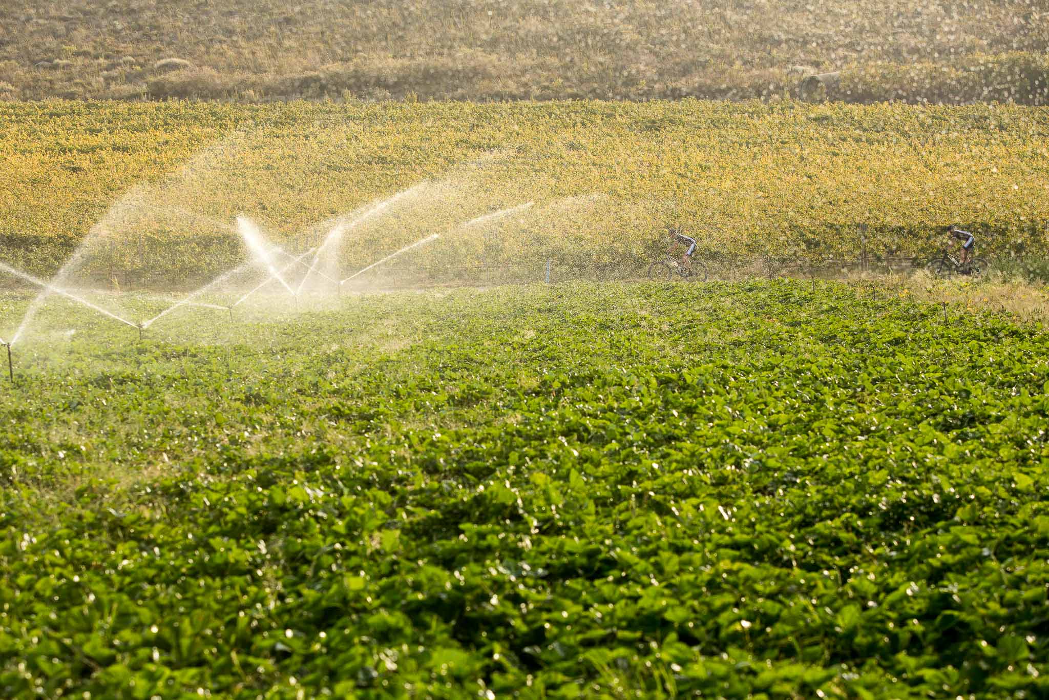 Photo by Sam Clark/Cape Epic/SPORTZPICS