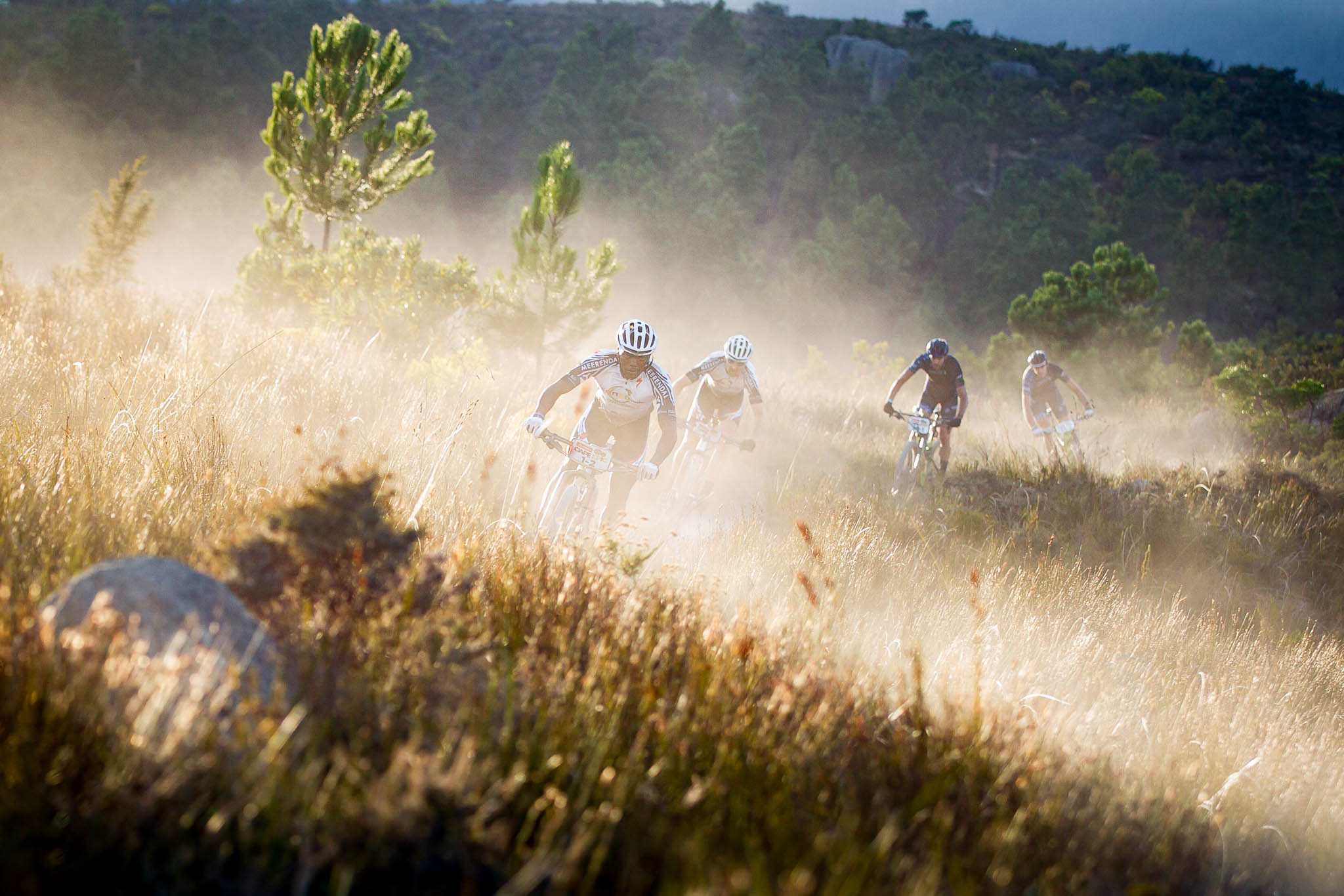 Photo by Nick Muzik/Cape Epic/SPORTZPICS