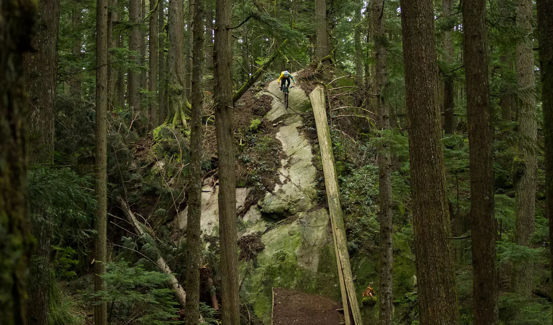 The Shore’s Second Coming – Stephen Matthews