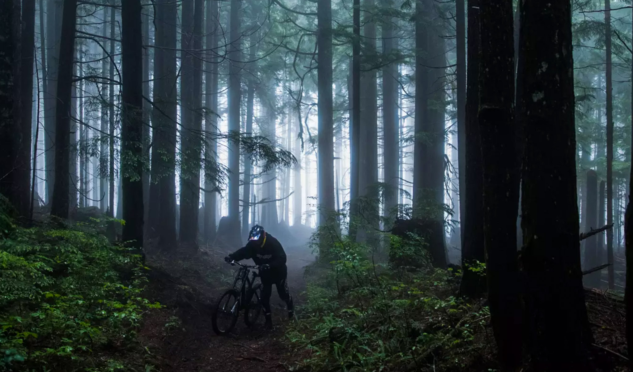 Negative infinity, Brandon Semenuk est de retour