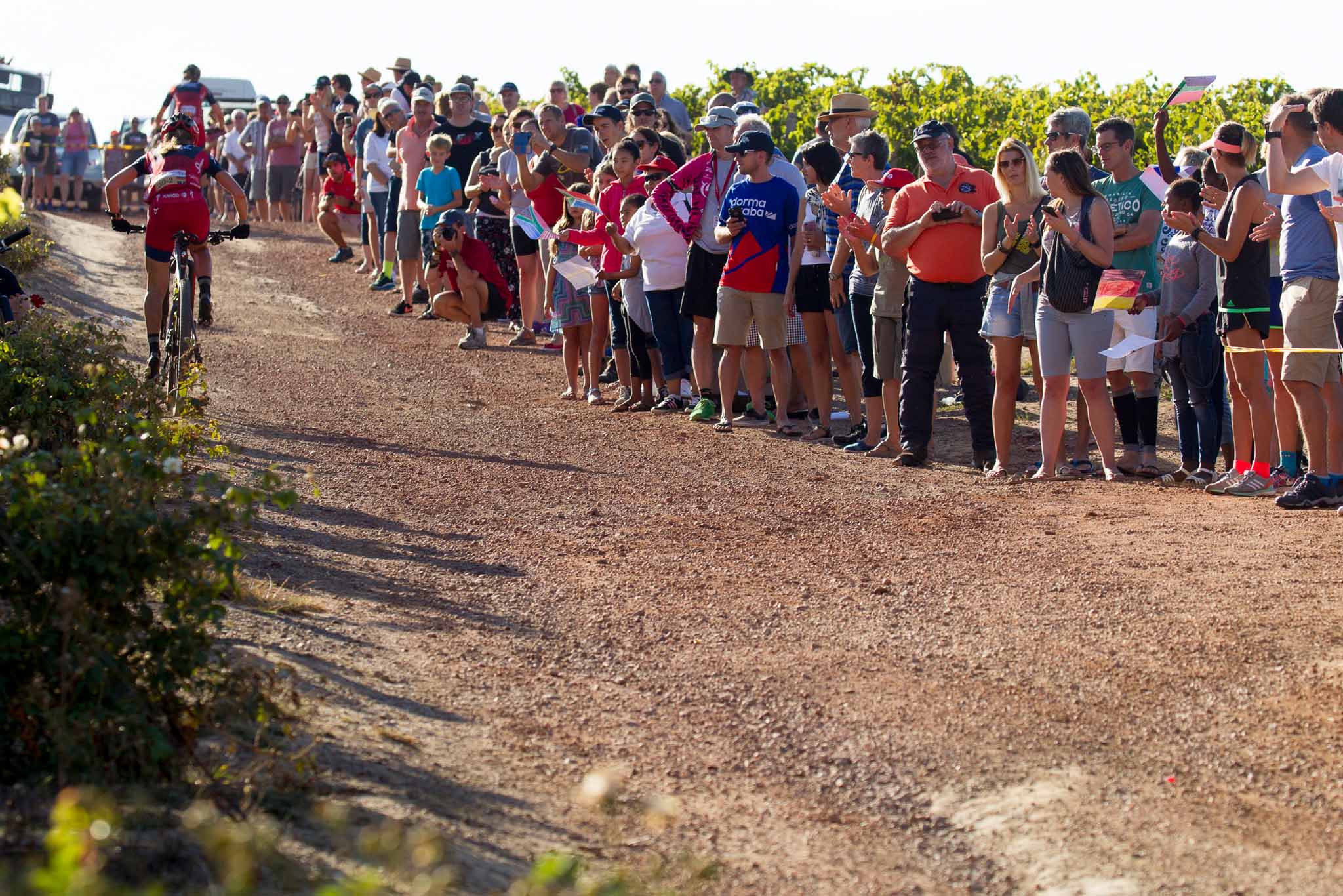 Photo by Greg Beadle/Cape Epic/SPORTZPICS