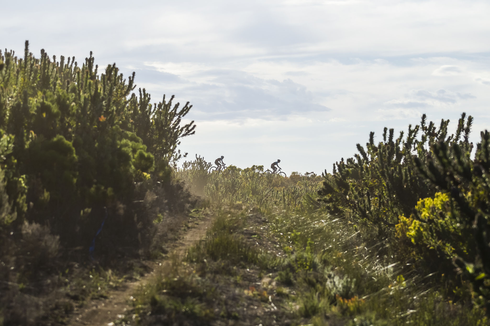 Photo by Dominic Barnardt/Cape Epic/SPORTZPICS