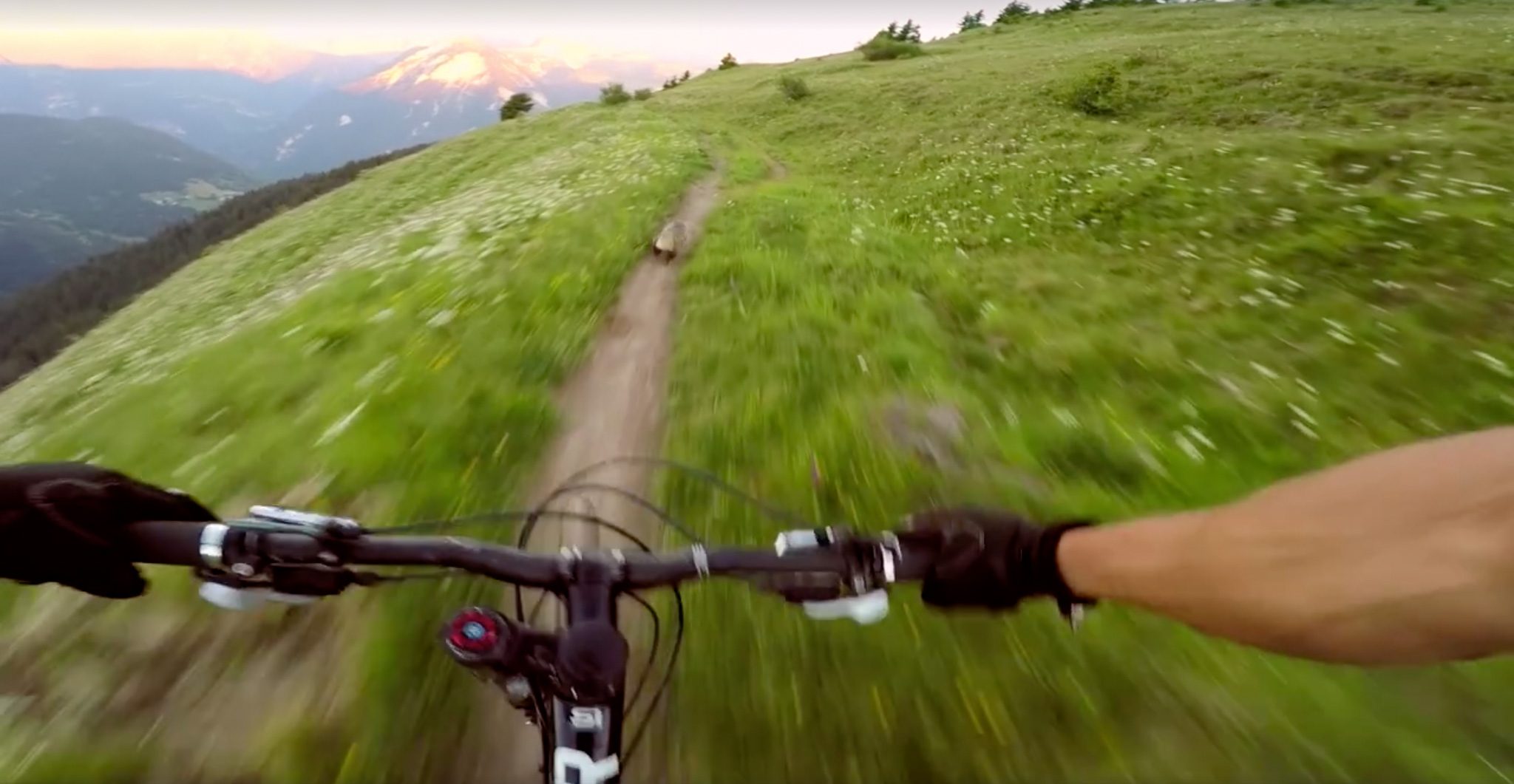 « L&rsquo;affaire marmotte » : non, ce n&rsquo;est pas drôle.