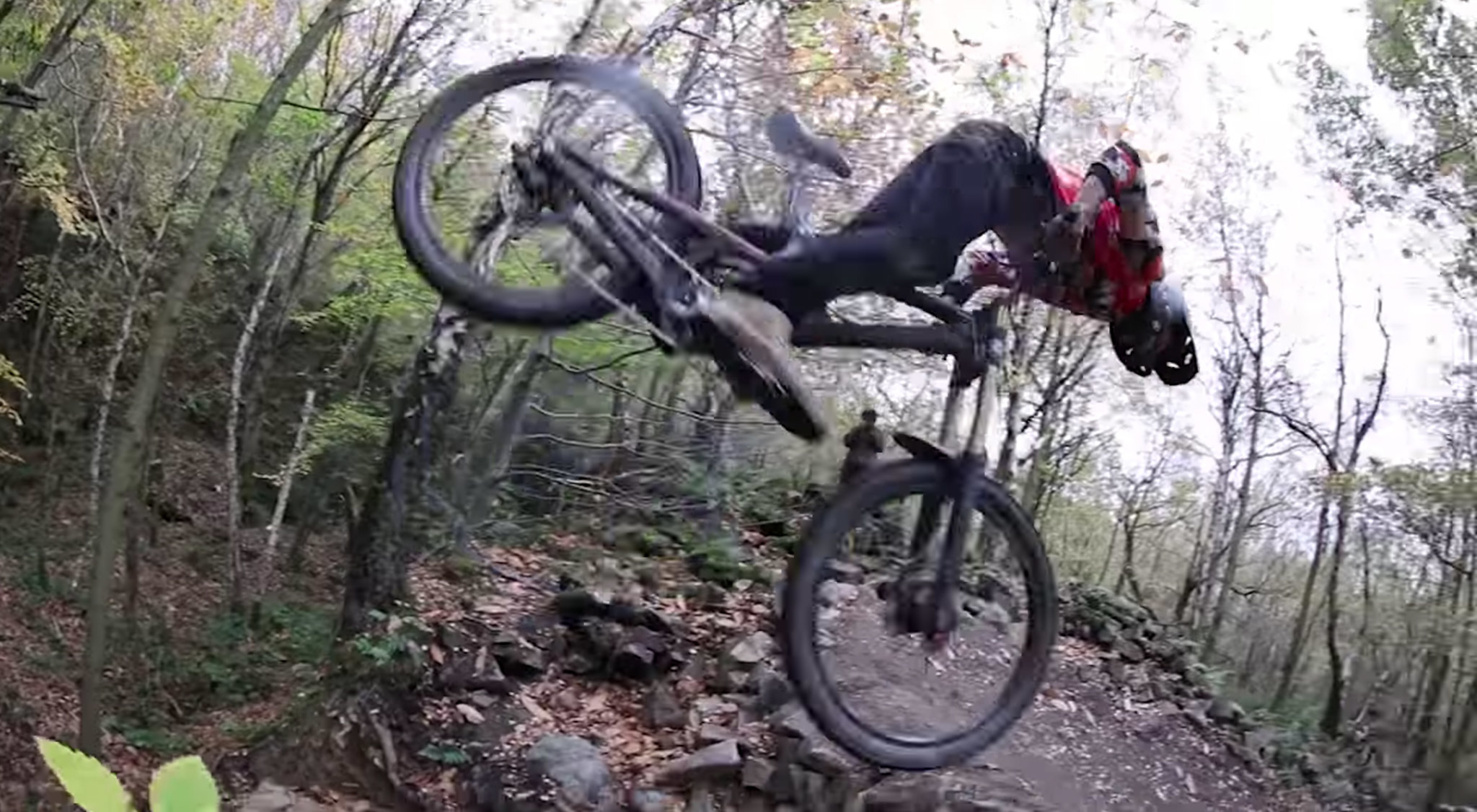 Wheel Love : les 50to01 profitent de l&rsquo;automne