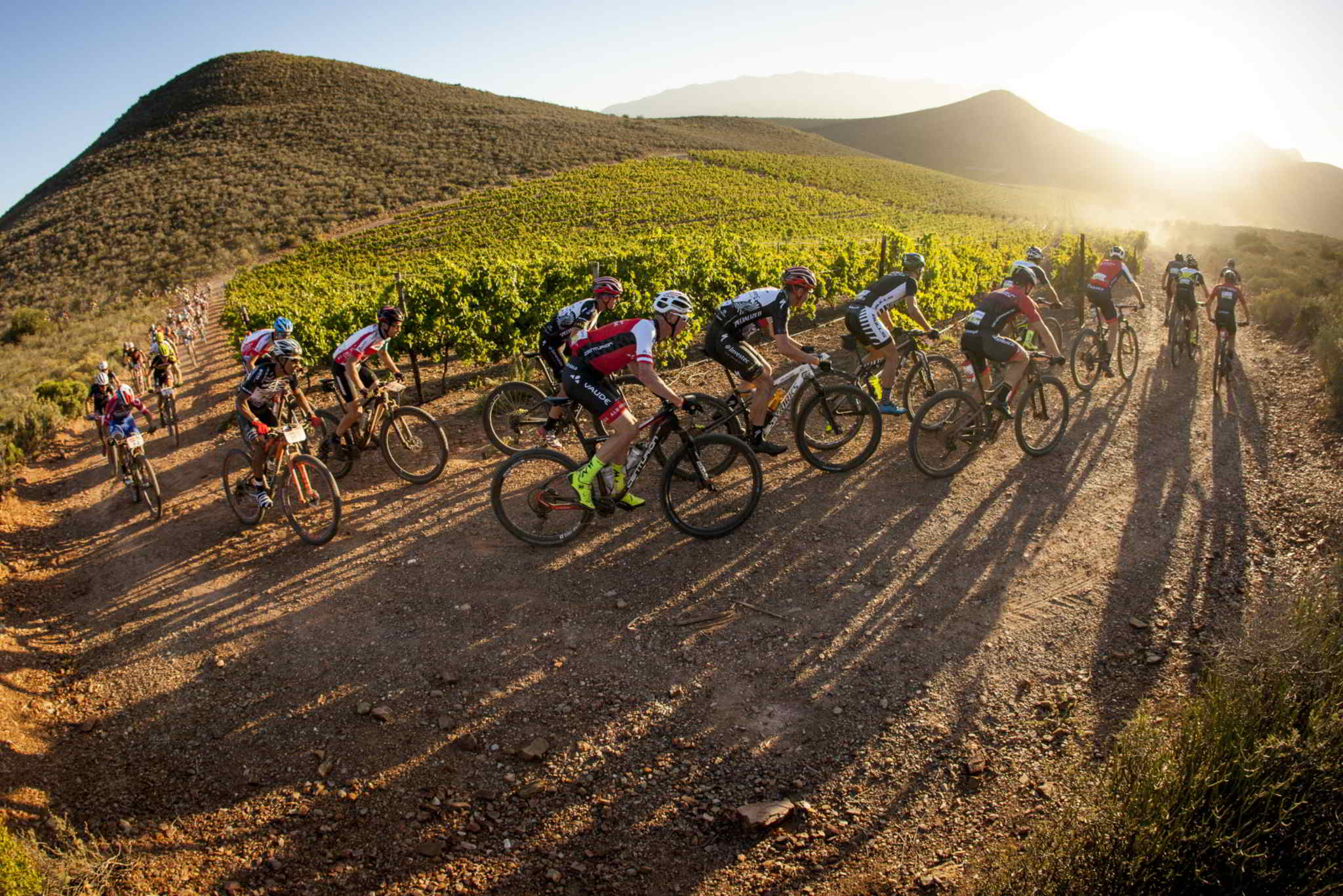<br />Photo by Sam Clark/Cape Epic/SPORTZPICS