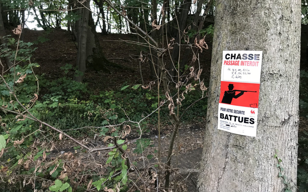 Un VTTiste tué par un chasseur à Montriond : et après ?