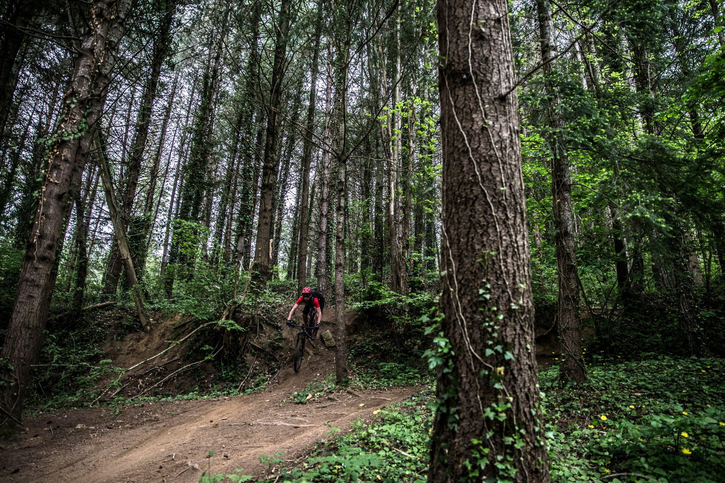 Photo Antonio Obregon