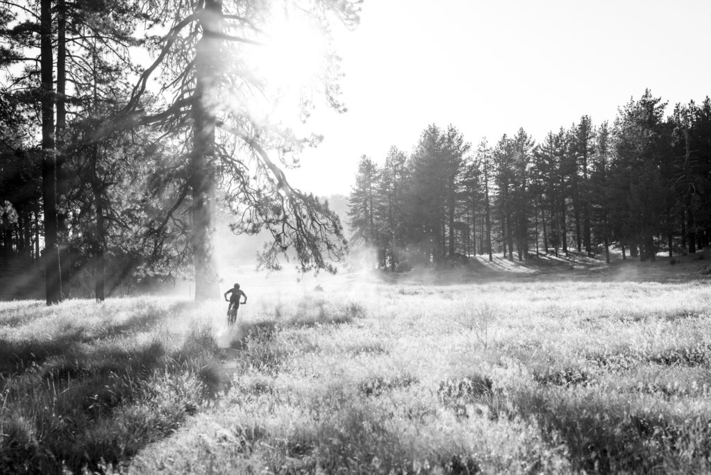 Gagnez une étude posturale avec Retül