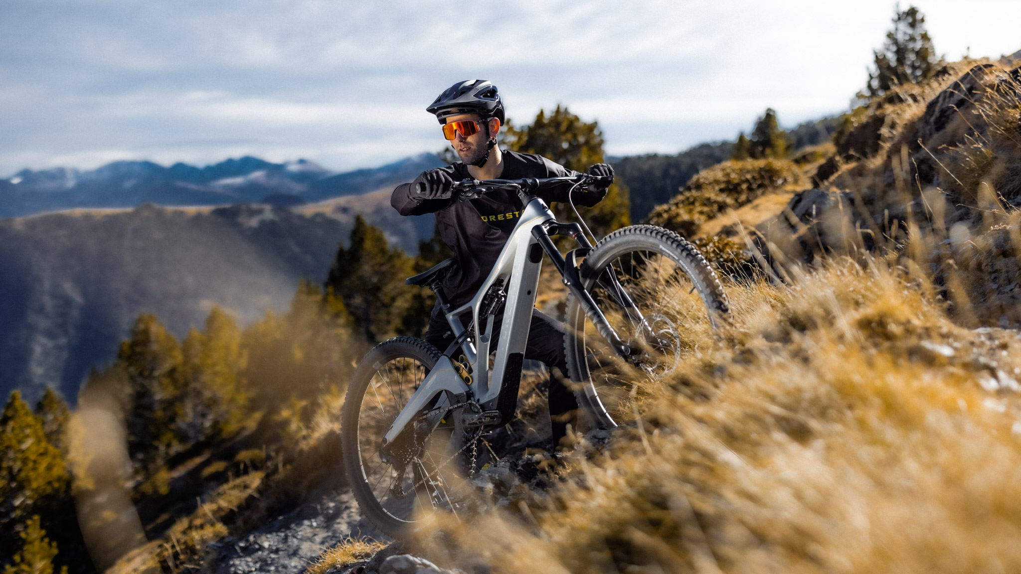 Nouveauté 2021 | Forestal : la gamme s&rsquo;agrandit