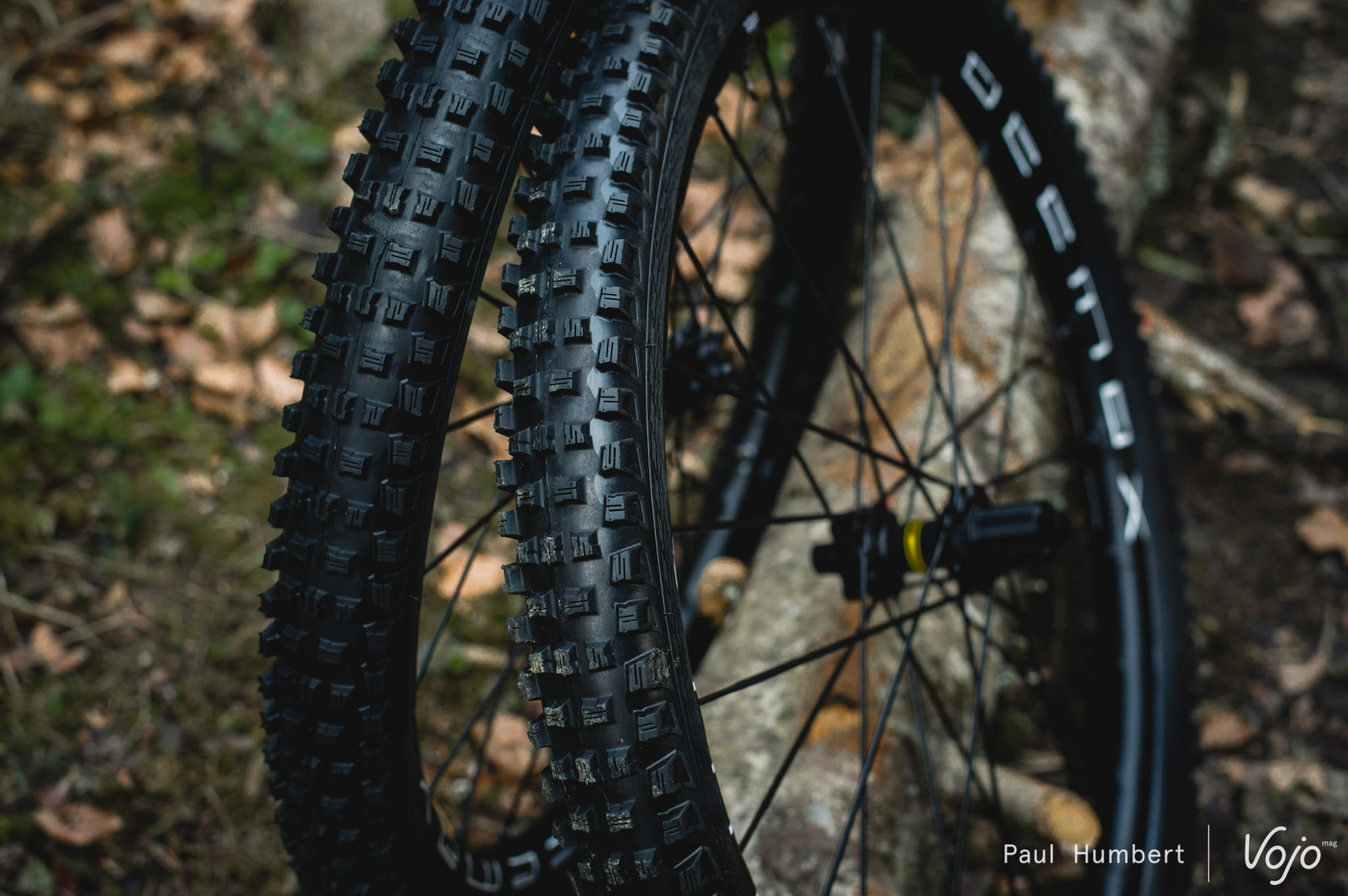 Nouveauté | Mitas : Monarch et DH Supra Max pour l&rsquo;enduro