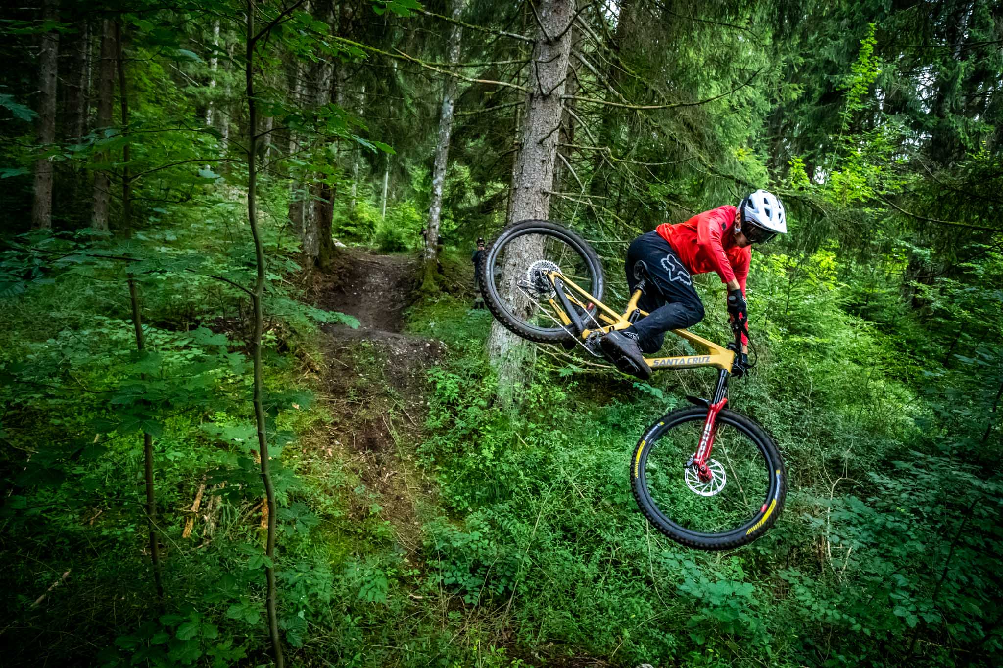 The Enigma – Romain Paulhan