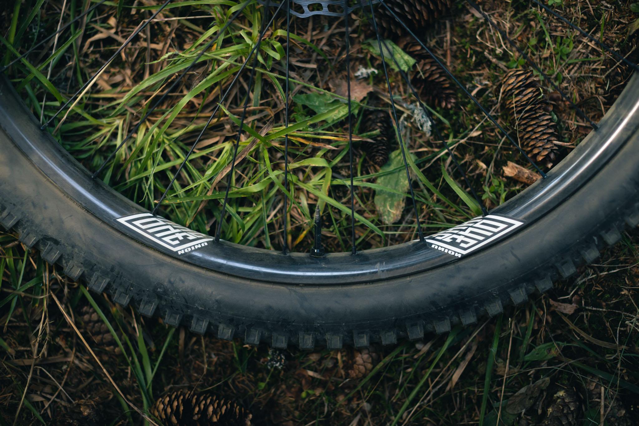 Test | We Are One Union : le carbone made in Canada