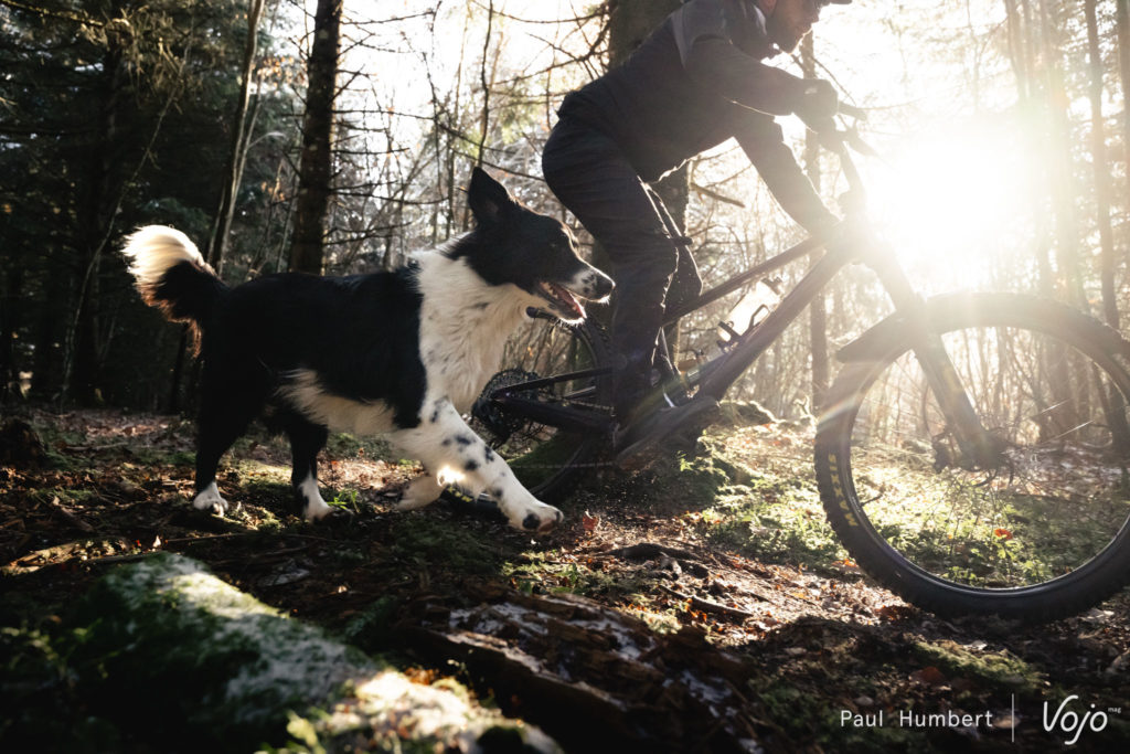 Rouler. Rouler. Manger. Rouler.