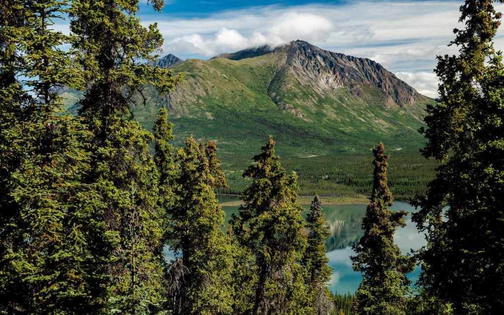 Trail tales | Episode 9 : Sentiers d&rsquo;or