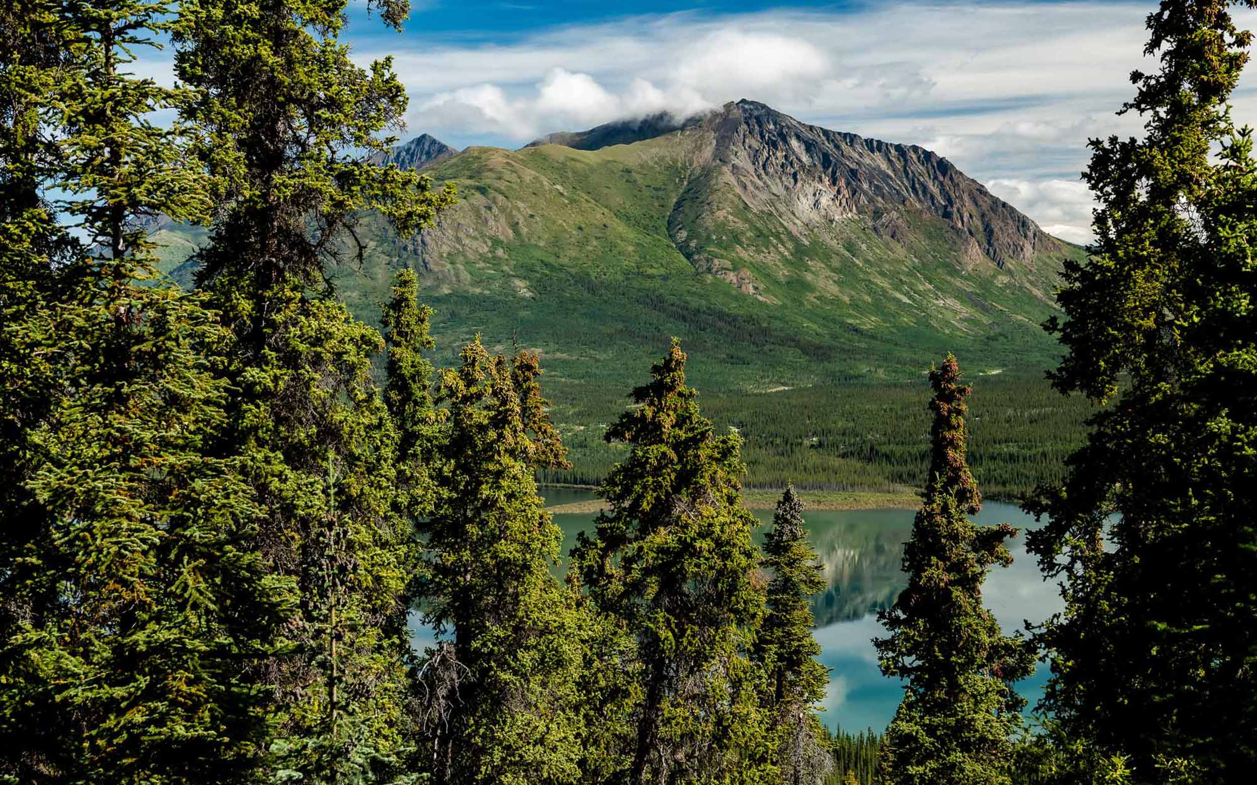 Trail tales | Episode 9 : Sentiers d&rsquo;or