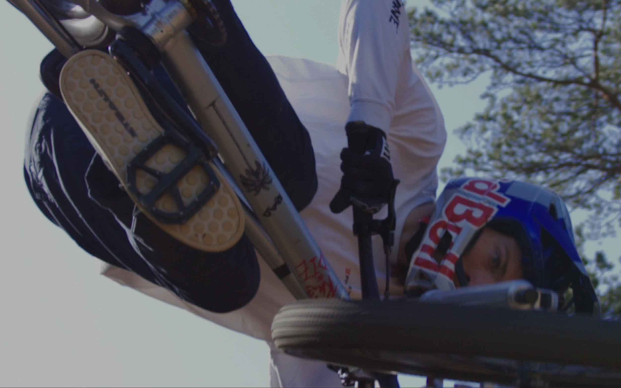 Thomas Genon – Retour aux racines