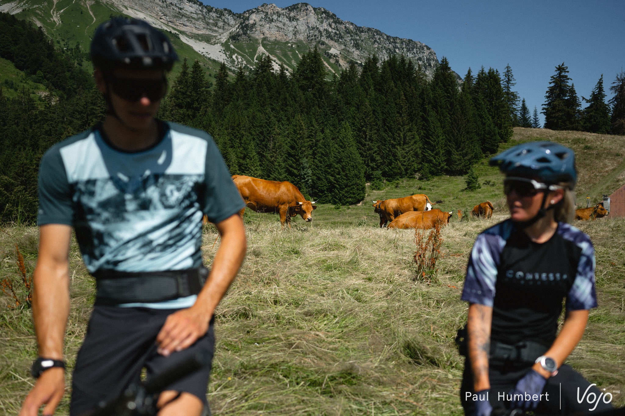 Partager la montagne à VTT : pour quoi faire ? Les enjeux du pastoralisme