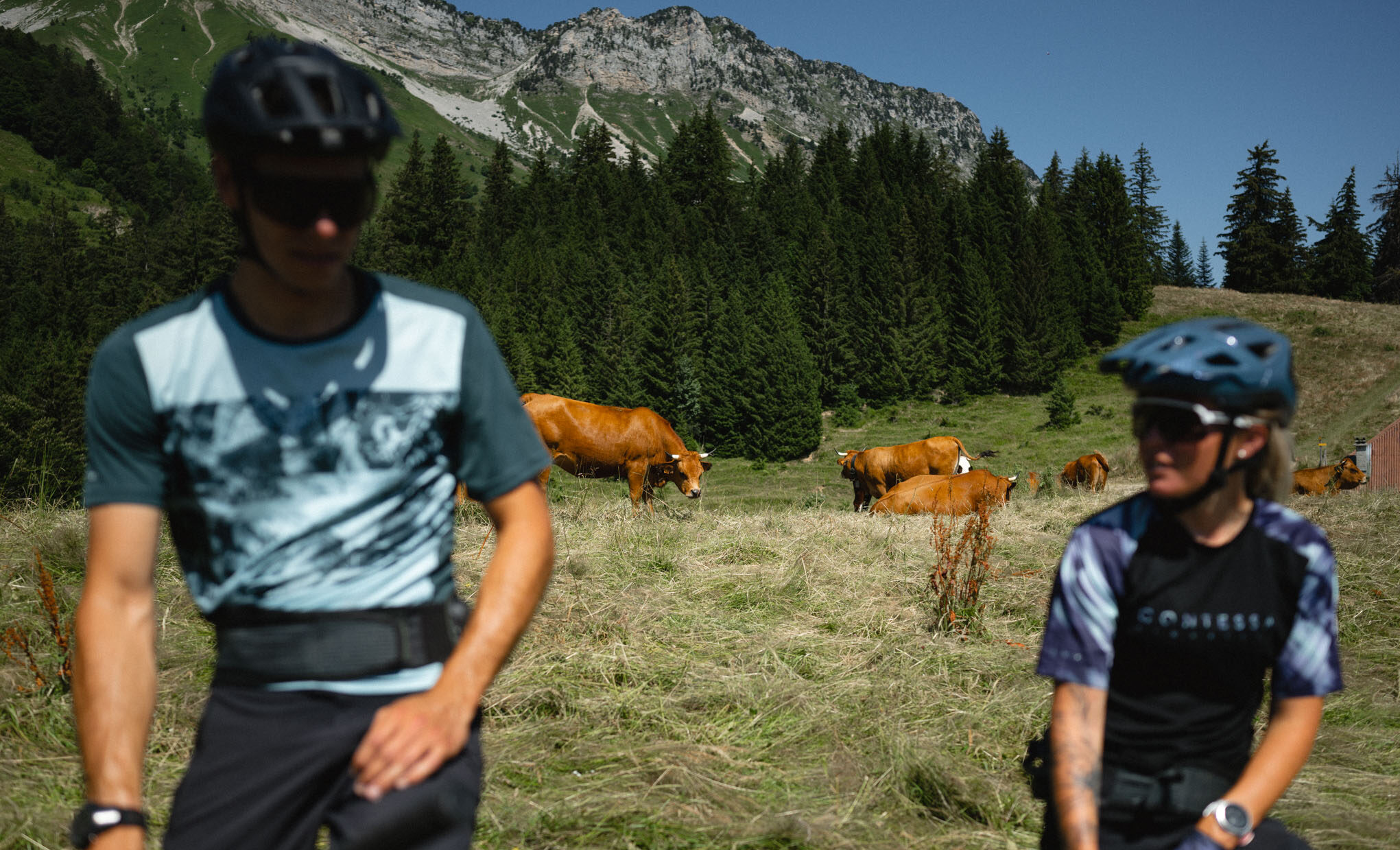 Partager la montagne à VTT : pour quoi faire ? Les enjeux du pastoralisme