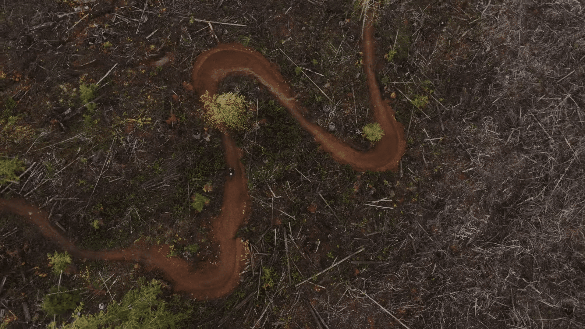 Max McCulloch – Life of trail: mission restauration sur l’île de Vancouver