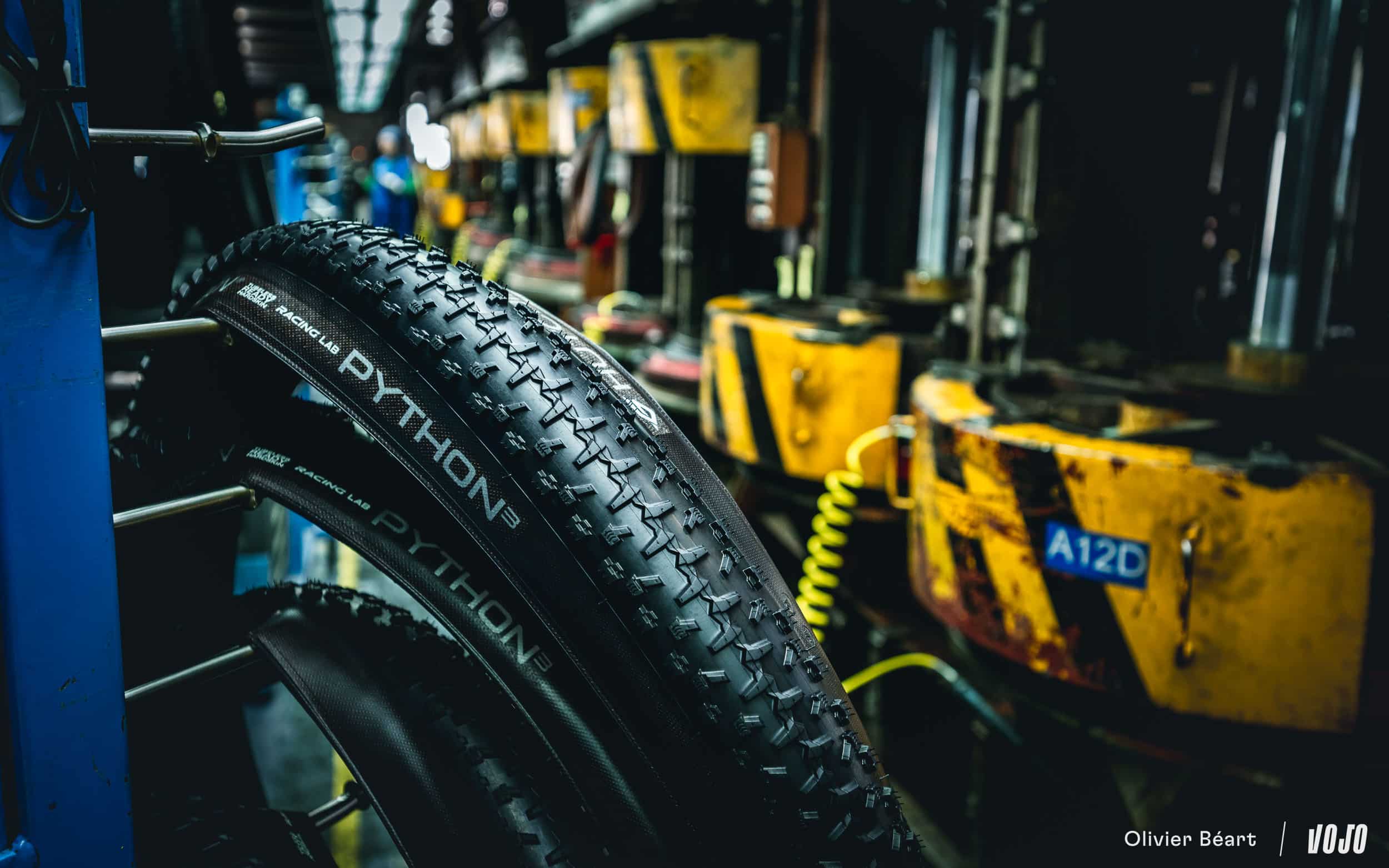 Découverte | Hutchinson Python : histoire d&rsquo;un mythe bien vivant