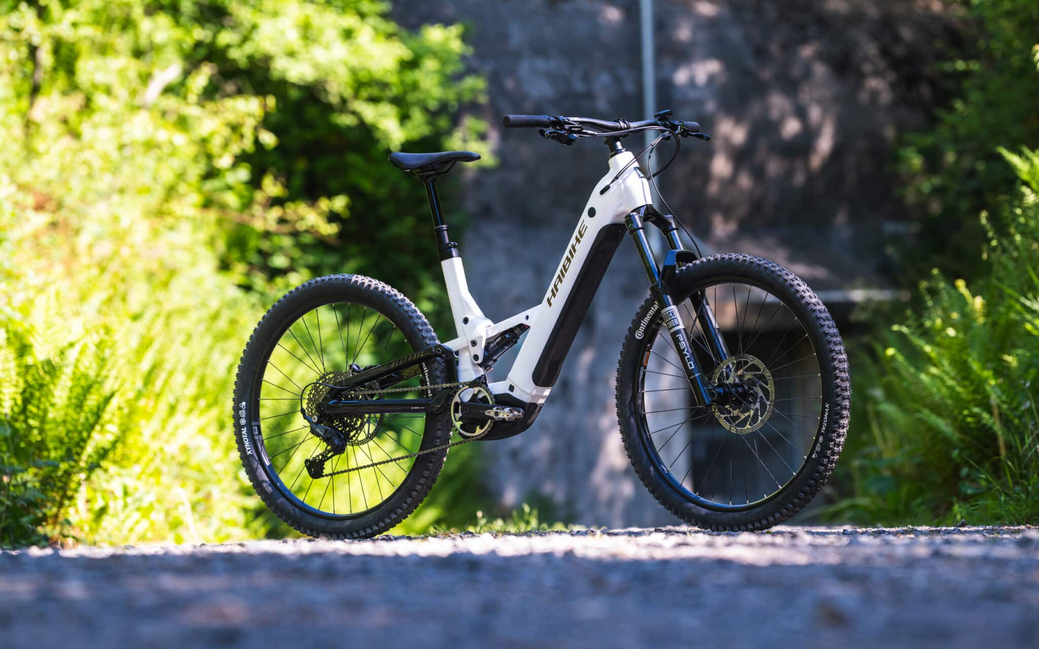 Test VTTAE 2025 | Haibike AllTrail 8.0 Low : la croisière s’amuse