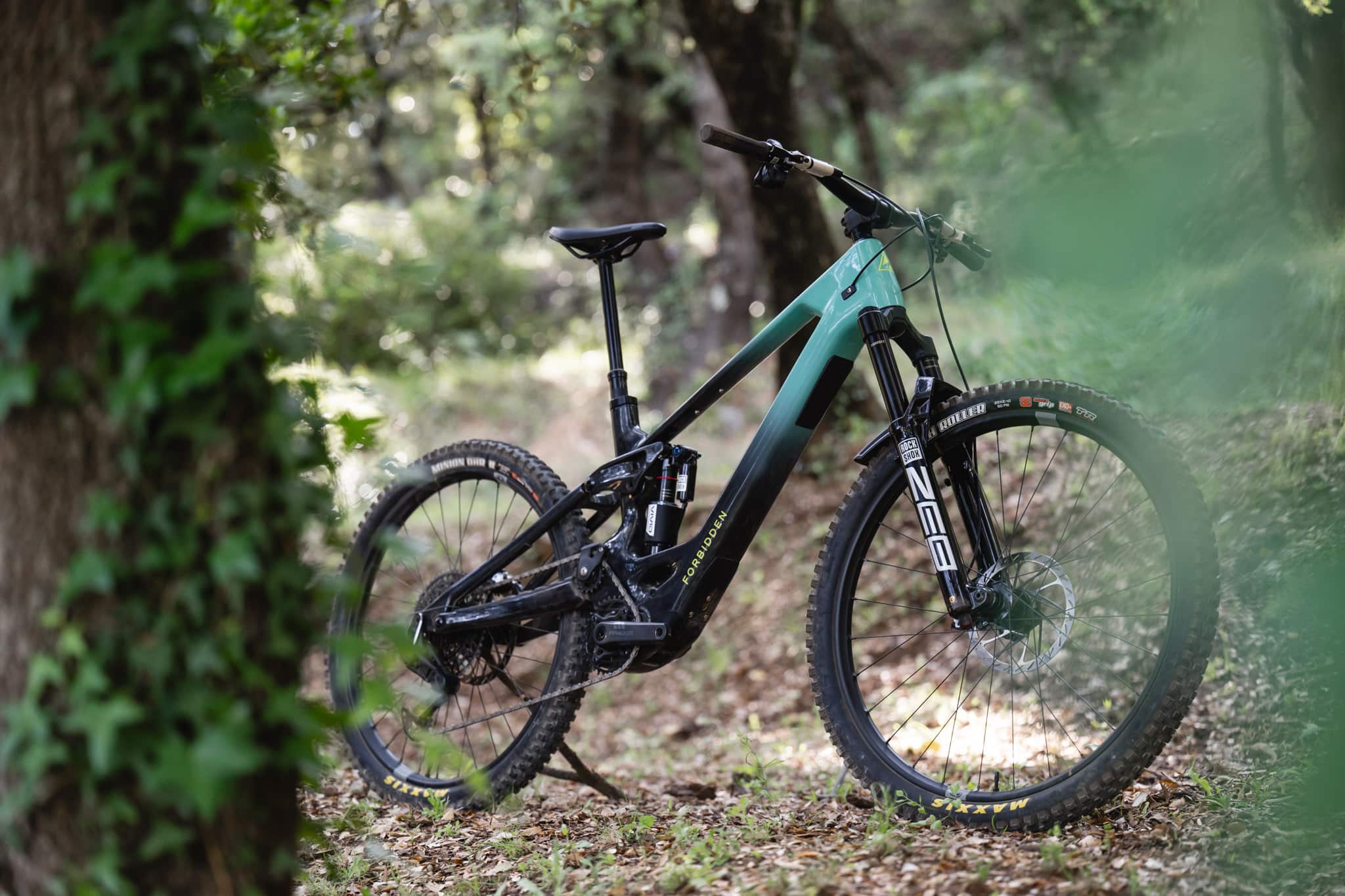 Test nouveauté VTTAE | Forbidden Druid Core : mariage heureux