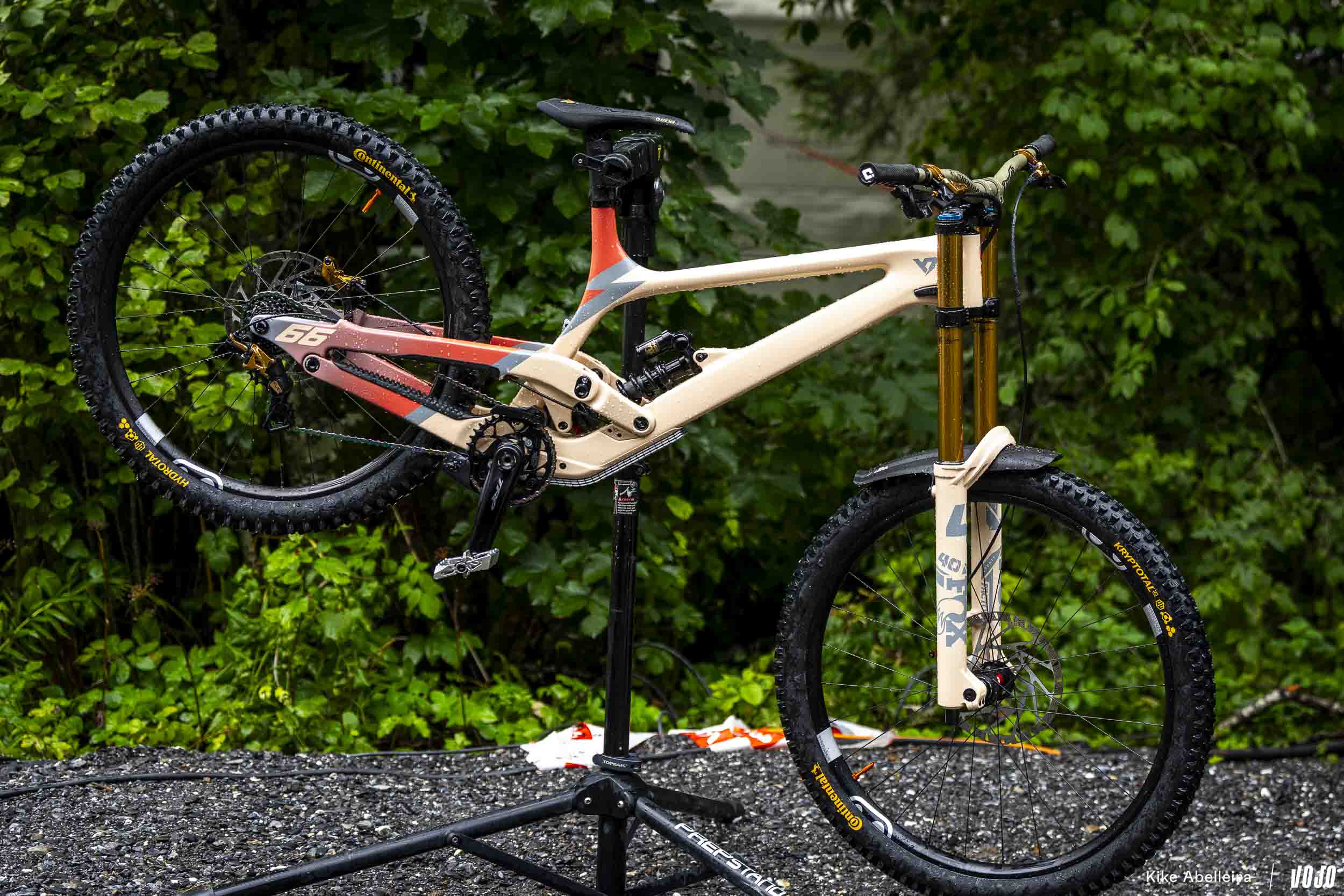 Vali Höll, Autriche, YT Mob